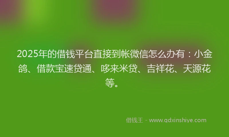 2025年的借钱平台直接到帐微信怎么办有：小金鸽、借款宝速贷通、哆来米贷、吉祥花、天源花等。