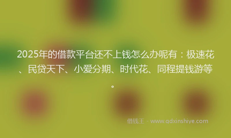 2025年的借款平台还不上钱怎么办呢有：极速花、民贷天下、小爱分期、时代花、同程提钱游等。