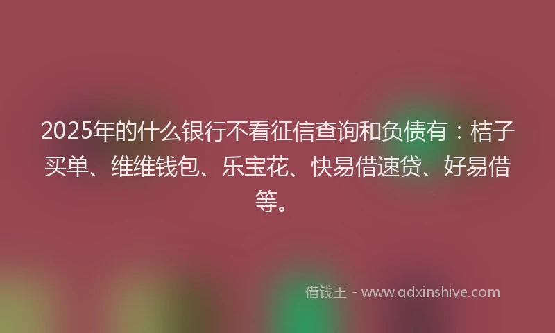 2025年的什么银行不看征信查询和负债有：桔子买单、维维钱包、乐宝花、快易借速贷、好易借等。