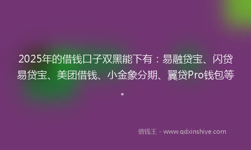 2025年的借钱口子双黑能下有：易融贷宝、闪贷易贷宝、美团借钱、小金象分期、翼贷Pro钱包等。