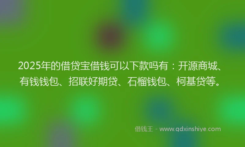 2025年的借贷宝借钱可以下款吗有：开源商城、有钱钱包、招联好期贷、石榴钱包、柯基贷等。