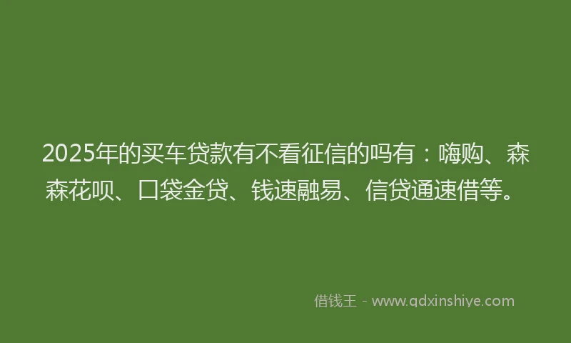 2025年的买车贷款有不看征信的吗有：嗨购、森森花呗、口袋金贷、钱速融易、信贷通速借等。