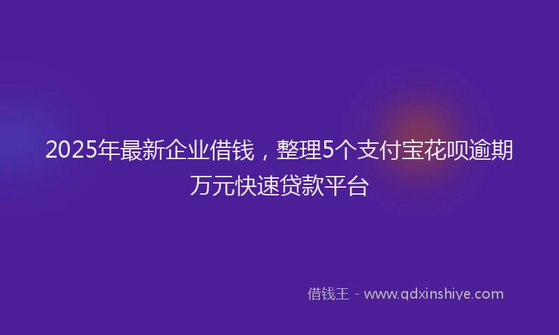 2025年最新企业借钱，整理5个支付宝花呗逾期万元快速贷款平台