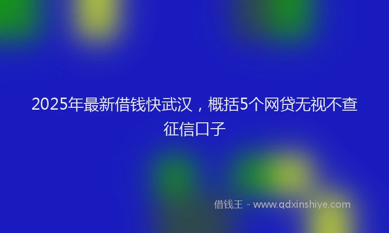 2025年最新借钱快武汉，概括5个网贷无视不查征信口子