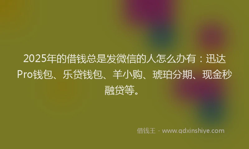 2025年的借钱总是发微信的人怎么办有：迅达Pro钱包、乐贷钱包、羊小购、琥珀分期、现金秒融贷等。