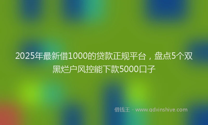 2025年最新借1000的贷款正规平台，盘点5个双黑烂户风控能下款5000口子