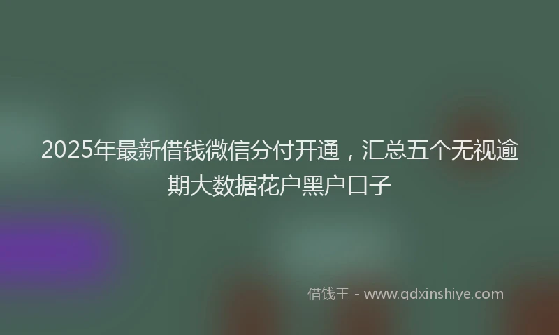 2025年最新借钱微信分付开通，汇总五个无视逾期大数据花户黑户口子