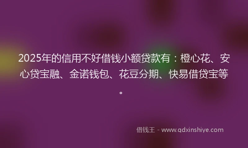 2025年的信用不好借钱小额贷款有：橙心花、安心贷宝融、金诺钱包、花豆分期、快易借贷宝等。