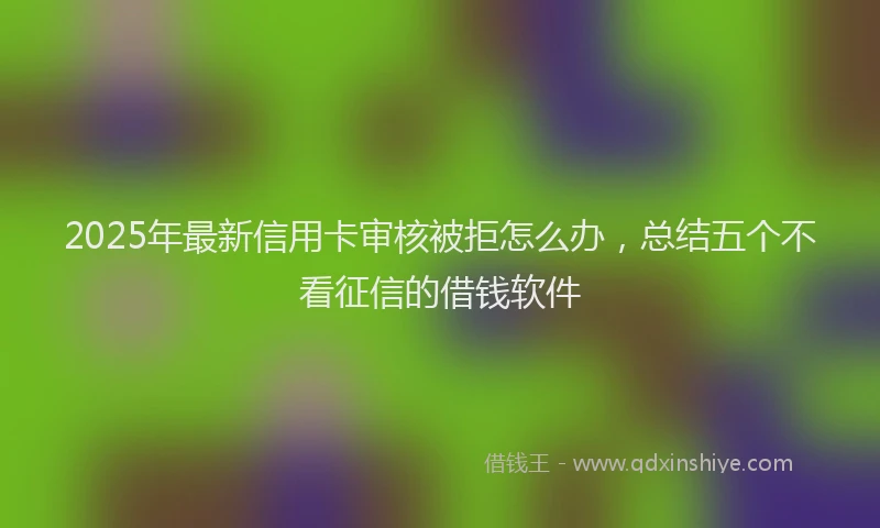 2025年最新信用卡审核被拒怎么办，总结五个不看征信的借钱软件