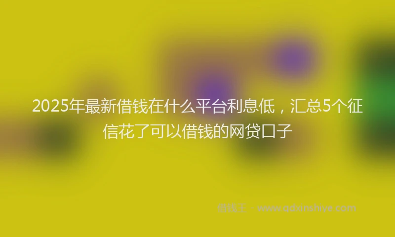 2025年最新借钱在什么平台利息低，汇总5个征信花了可以借钱的网贷口子