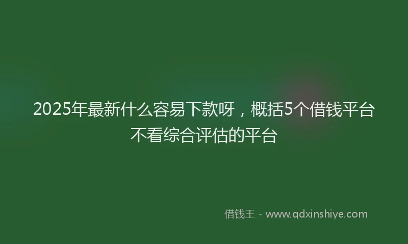 2025年最新什么容易下款呀，概括5个借钱平台不看综合评估的平台