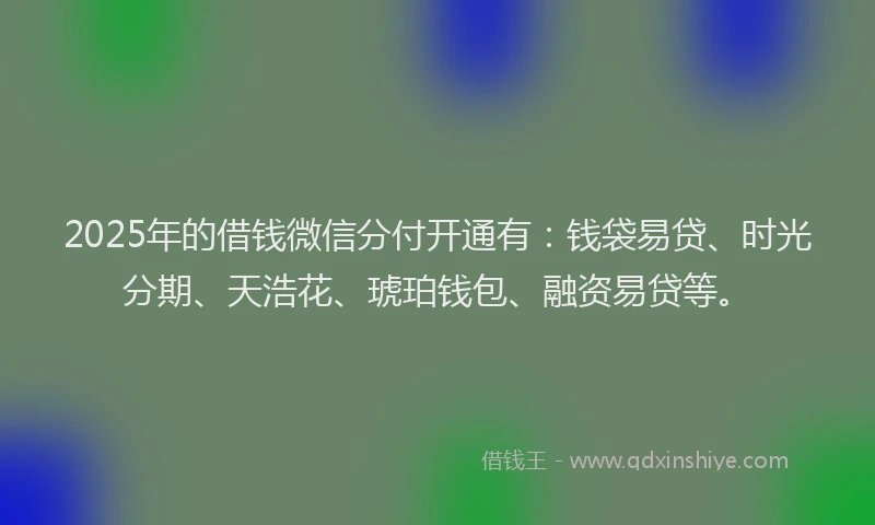 2025年的借钱微信分付开通有：钱袋易贷、时光分期、天浩花、琥珀钱包、融资易贷等。