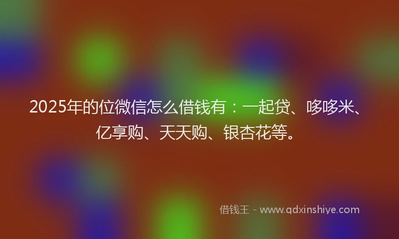 2025年的位微信怎么借钱有：一起贷、哆哆米、亿享购、天天购、银杏花等。