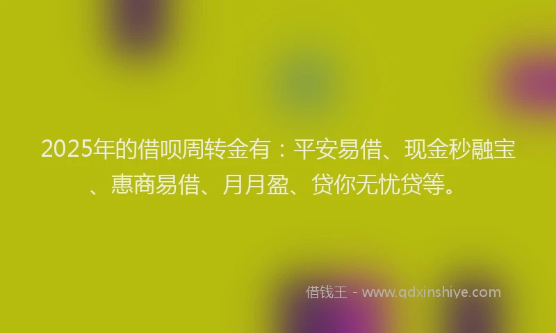 2025年的借呗周转金有：平安易借、现金秒融宝、惠商易借、月月盈、贷你无忧贷等。