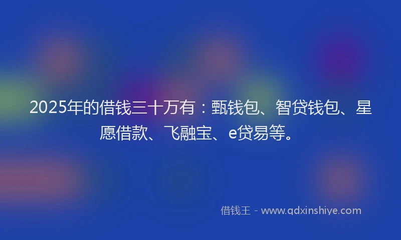 2025年的借钱三十万有：甄钱包、智贷钱包、星愿借款、飞融宝、e贷易等。