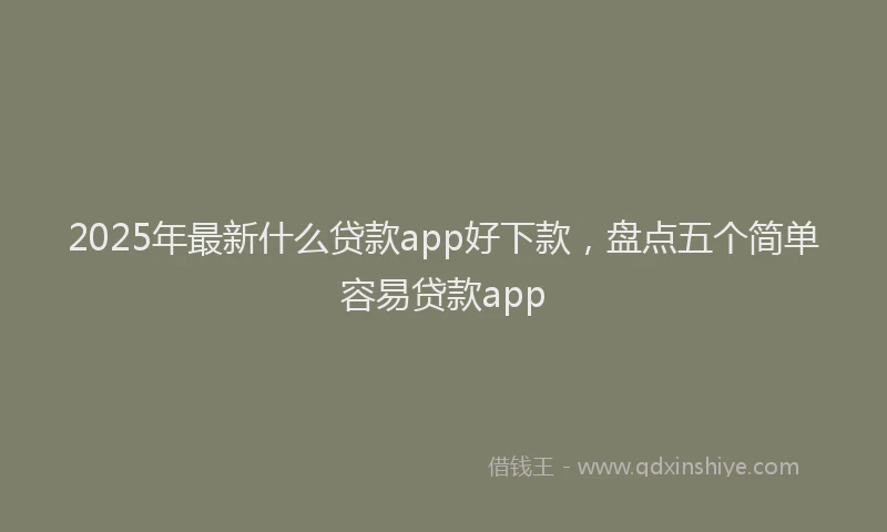 2025年最新什么贷款app好下款，盘点五个简单容易贷款app