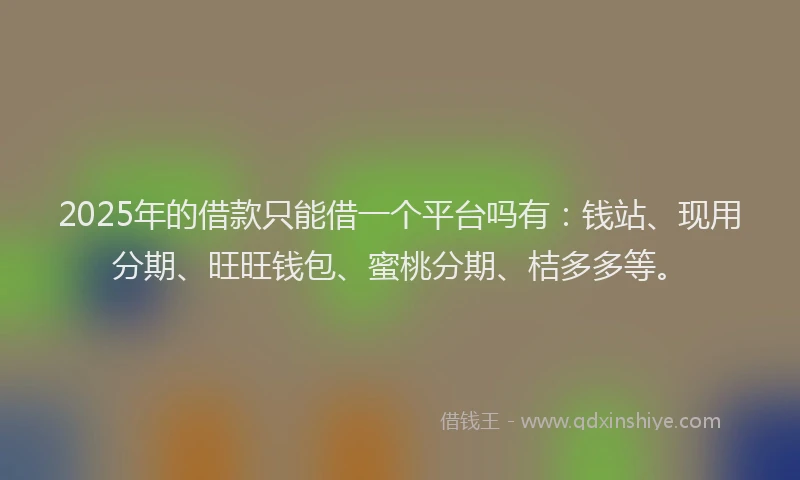 2025年的借款只能借一个平台吗有：钱站、现用分期、旺旺钱包、蜜桃分期、桔多多等。