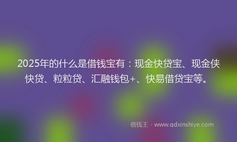 2025年的什么是借钱宝有：现金快贷宝、现金侠快贷、粒粒贷、汇融钱包+、快易借贷宝等。