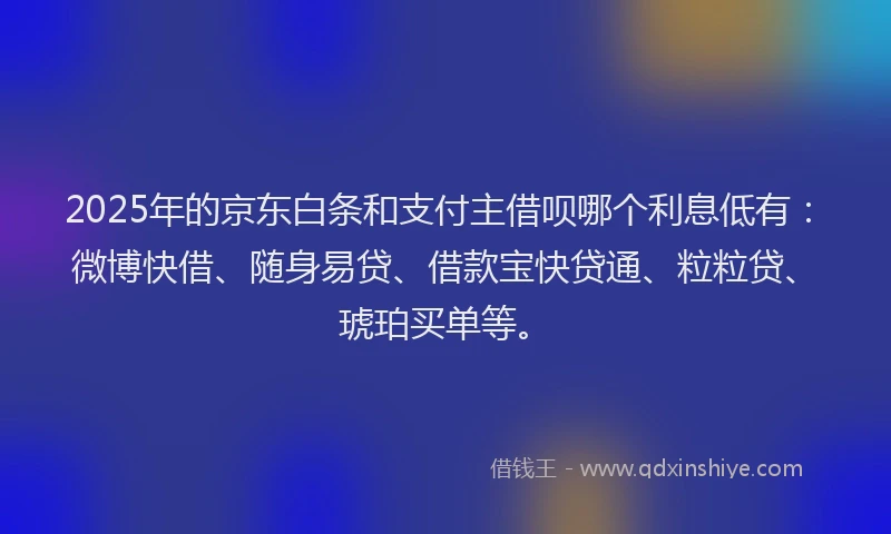 2025年的京东白条和支付主借呗哪个利息低有：微博快借、随身易贷、借款宝快贷通、粒粒贷、琥珀买单等。