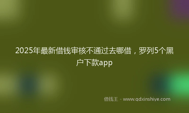 2025年最新借钱审核不通过去哪借，罗列5个黑户下款app