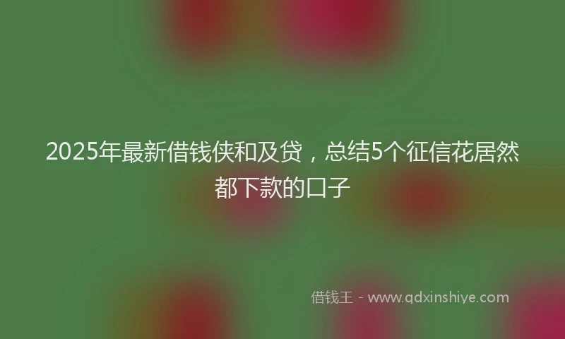2025年最新借钱侠和及贷，总结5个征信花居然都下款的口子
