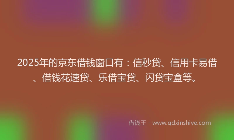 2025年的京东借钱窗口有：信秒贷、信用卡易借、借钱花速贷、乐借宝贷、闪贷宝盒等。