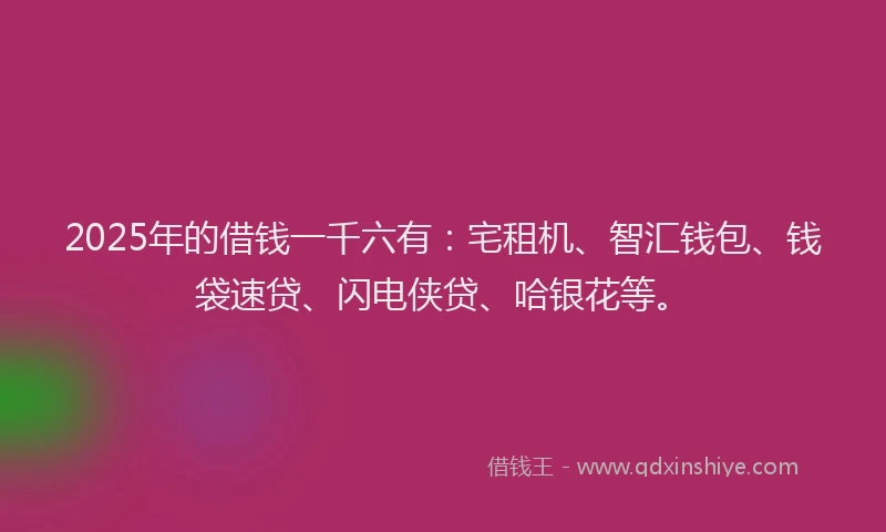 2025年的借钱一千六有：宅租机、智汇钱包、钱袋速贷、闪电侠贷、哈银花等。