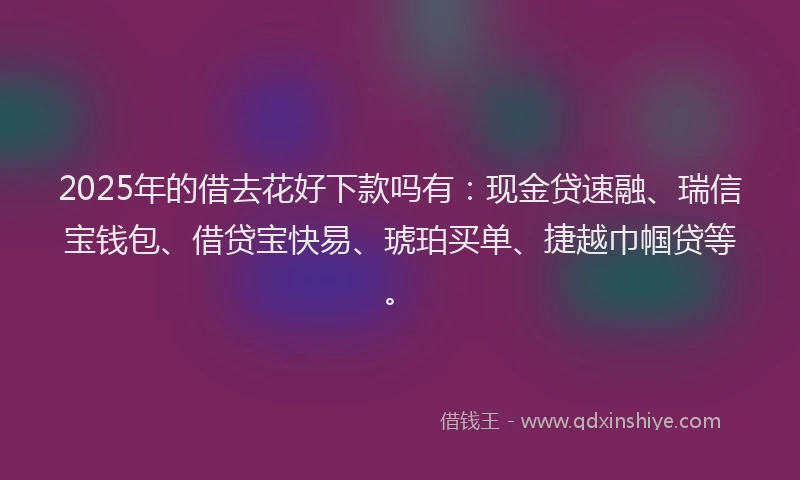 2025年的借去花好下款吗有：现金贷速融、瑞信宝钱包、借贷宝快易、琥珀买单、捷越巾帼贷等。
