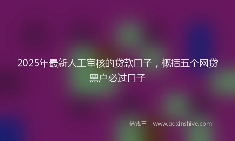 2025年最新人工审核的贷款口子，概括五个网贷黑户必过口子