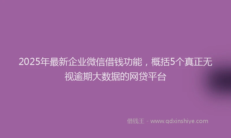 2025年最新企业微信借钱功能，概括5个真正无视逾期大数据的网贷平台