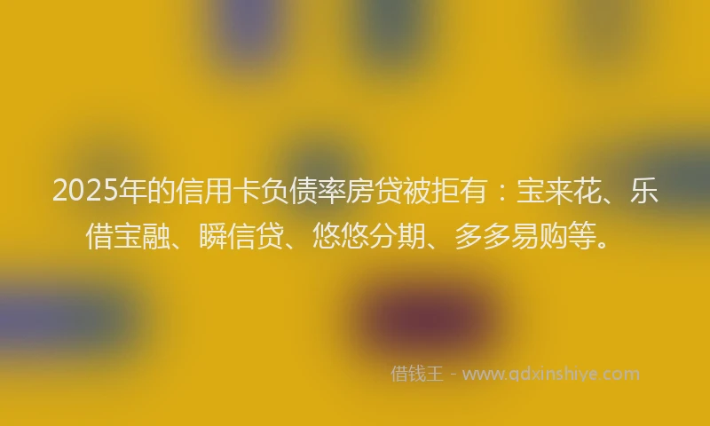 2025年的信用卡负债率房贷被拒有：宝来花、乐借宝融、瞬信贷、悠悠分期、多多易购等。