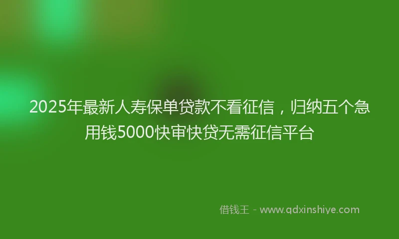 2025年最新人寿保单贷款不看征信，归纳五个急用钱5000快审快贷无需征信平台