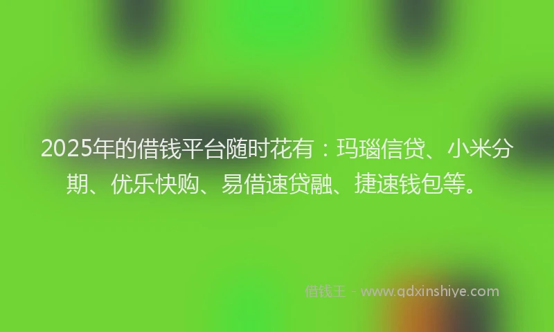 2025年的借钱平台随时花有：玛瑙信贷、小米分期、优乐快购、易借速贷融、捷速钱包等。