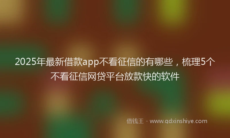2025年最新借款app不看征信的有哪些，梳理5个不看征信网贷平台放款快的软件