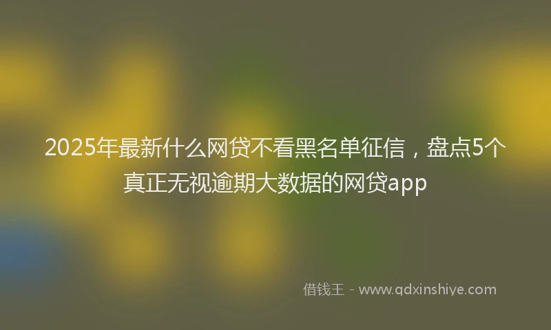 2025年最新什么网贷不看黑名单征信，盘点5个真正无视逾期大数据的网贷app