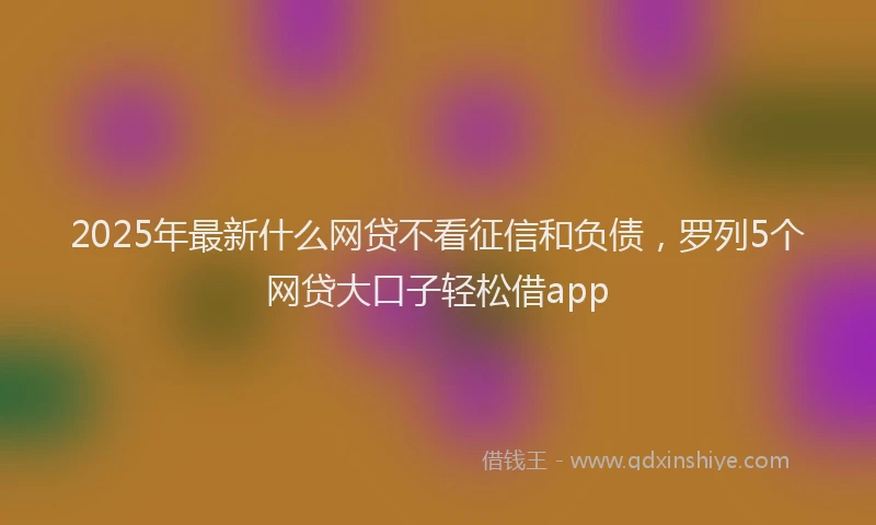 2025年最新什么网贷不看征信和负债，罗列5个网贷大口子轻松借app