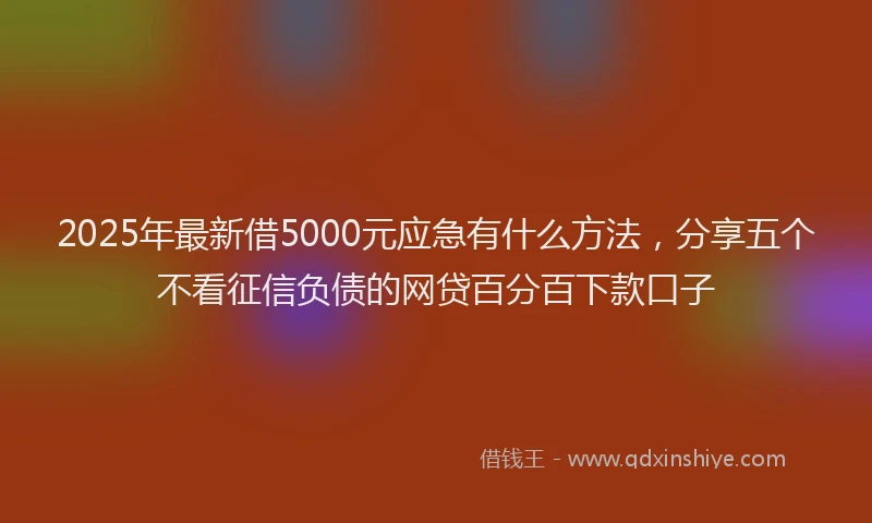 2025年最新借5000元应急有什么方法，分享五个不看征信负债的网贷百分百下款口子