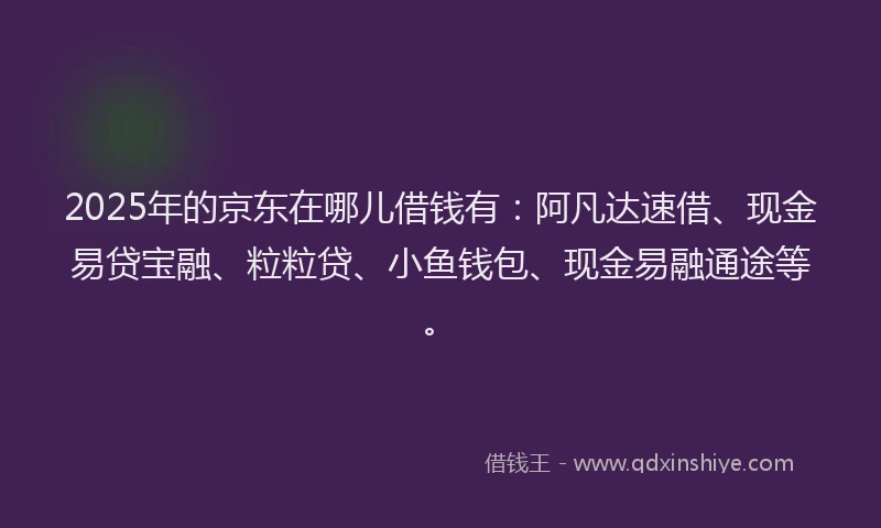 2025年的京东在哪儿借钱有：阿凡达速借、现金易贷宝融、粒粒贷、小鱼钱包、现金易融通途等。