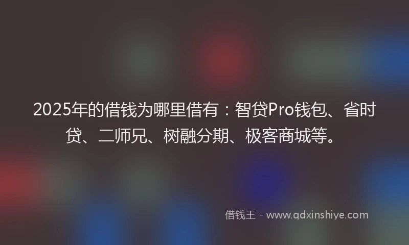 2025年的借钱为哪里借有：智贷Pro钱包、省时贷、二师兄、树融分期、极客商城等。