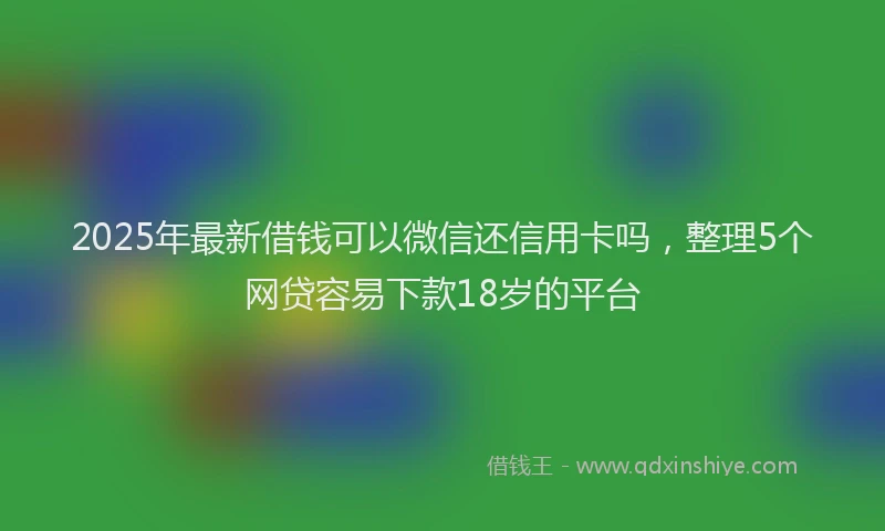 2025年最新借钱可以微信还信用卡吗，整理5个网贷容易下款18岁的平台