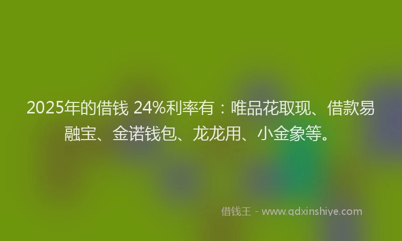 2025年的借钱 24%利率有：唯品花取现、借款易融宝、金诺钱包、龙龙用、小金象等。