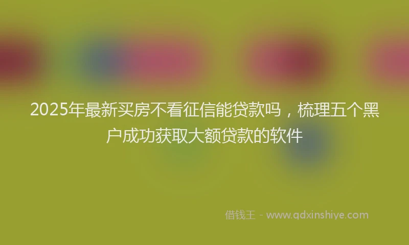 2025年最新买房不看征信能贷款吗，梳理五个黑户成功获取大额贷款的软件