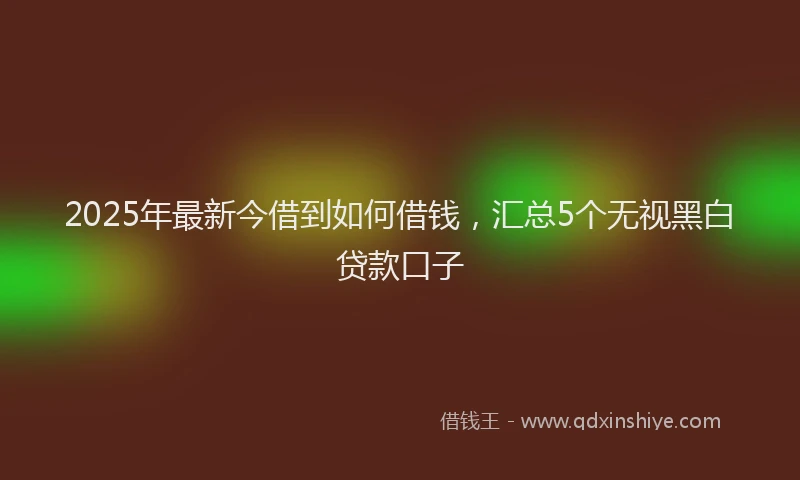 2025年最新今借到如何借钱，汇总5个无视黑白贷款口子