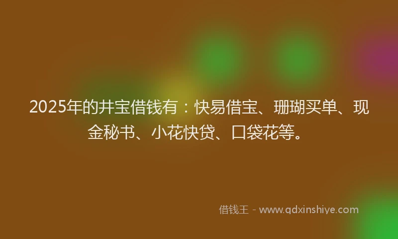 2025年的井宝借钱有：快易借宝、珊瑚买单、现金秘书、小花快贷、口袋花等。