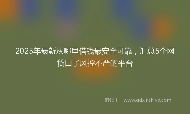2025年最新从哪里借钱最安全可靠，汇总5个网贷口子风控不严的平台