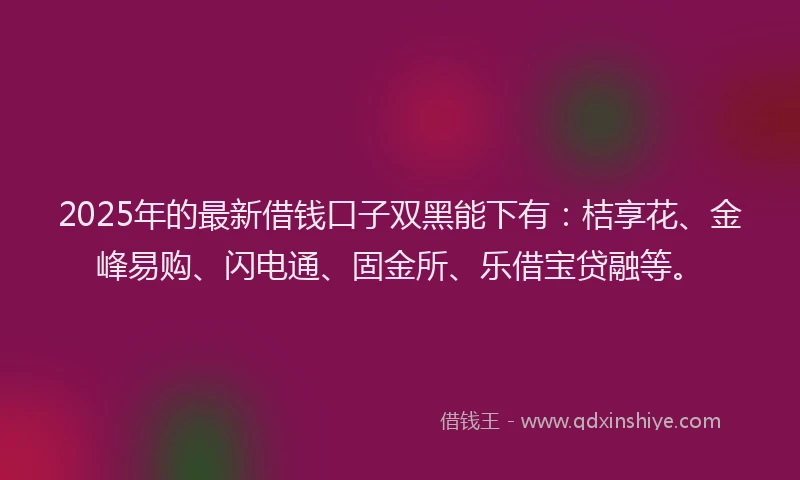 2025年的最新借钱口子双黑能下有：桔享花、金峰易购、闪电通、固金所、乐借宝贷融等。