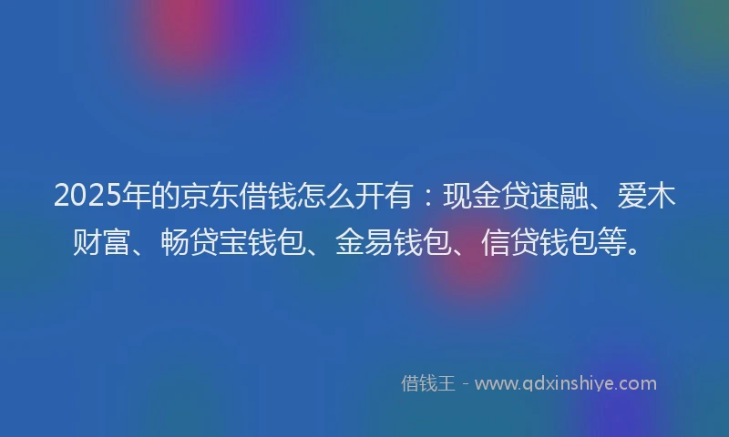 2025年的京东借钱怎么开有：现金贷速融、爱木财富、畅贷宝钱包、金易钱包、信贷钱包等。