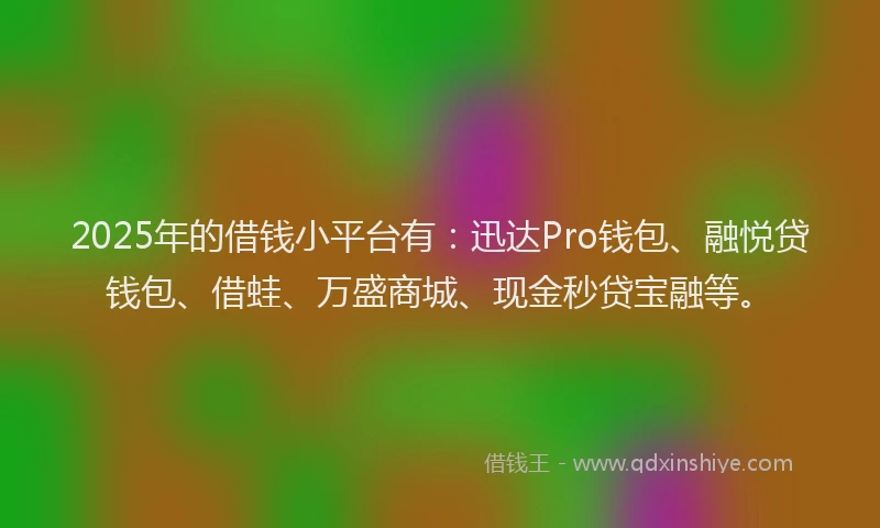 2025年的借钱小平台有：迅达Pro钱包、融悦贷钱包、借蛙、万盛商城、现金秒贷宝融等。