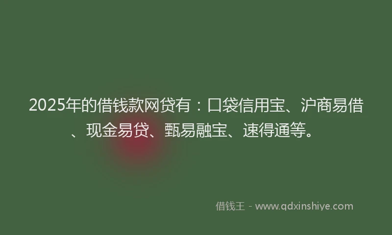 2025年的借钱款网贷有：口袋信用宝、沪商易借、现金易贷、甄易融宝、速得通等。