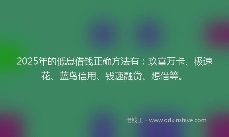 2025年的低息借钱正确方法有：玖富万卡、极速花、蓝鸟信用、钱速融贷、想借等。